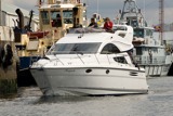 mosquito 110708 0623 tship11
